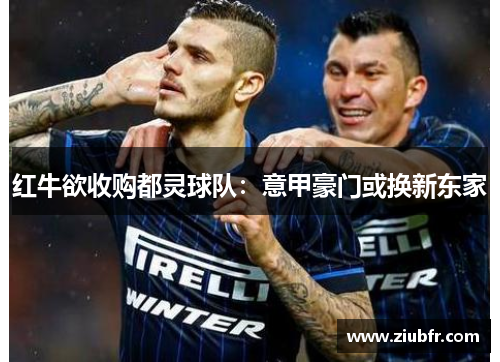 红牛欲收购都灵球队:意甲豪门或换新东家